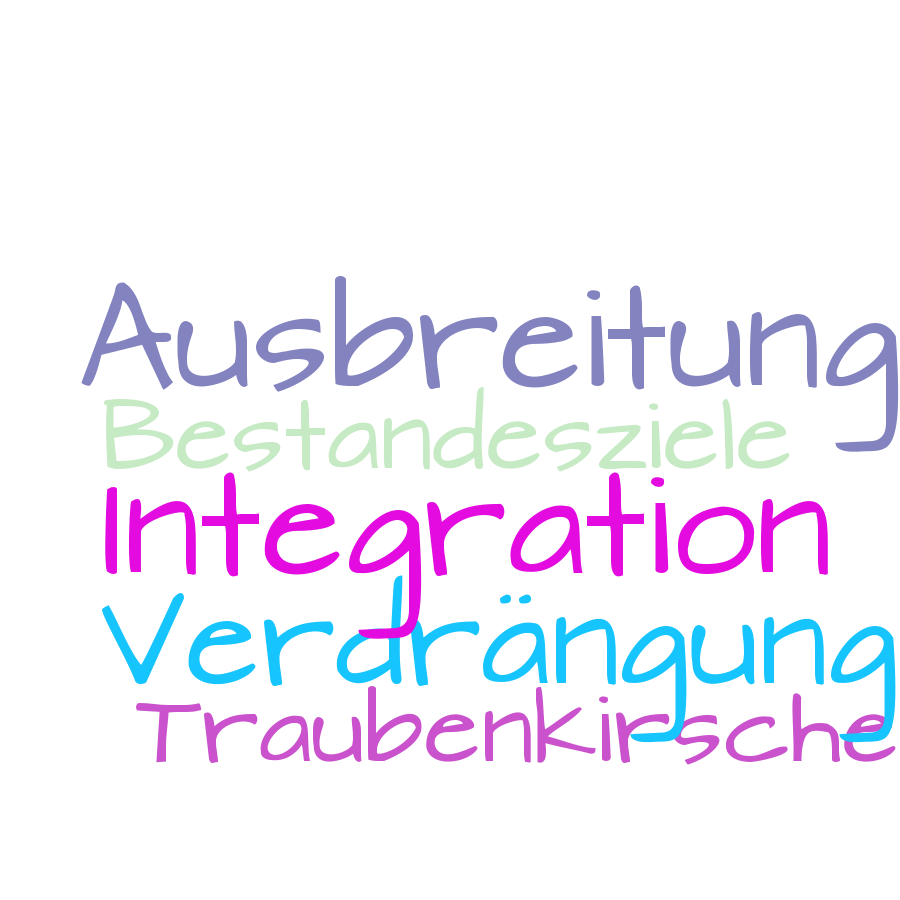 Schlagwortwolke