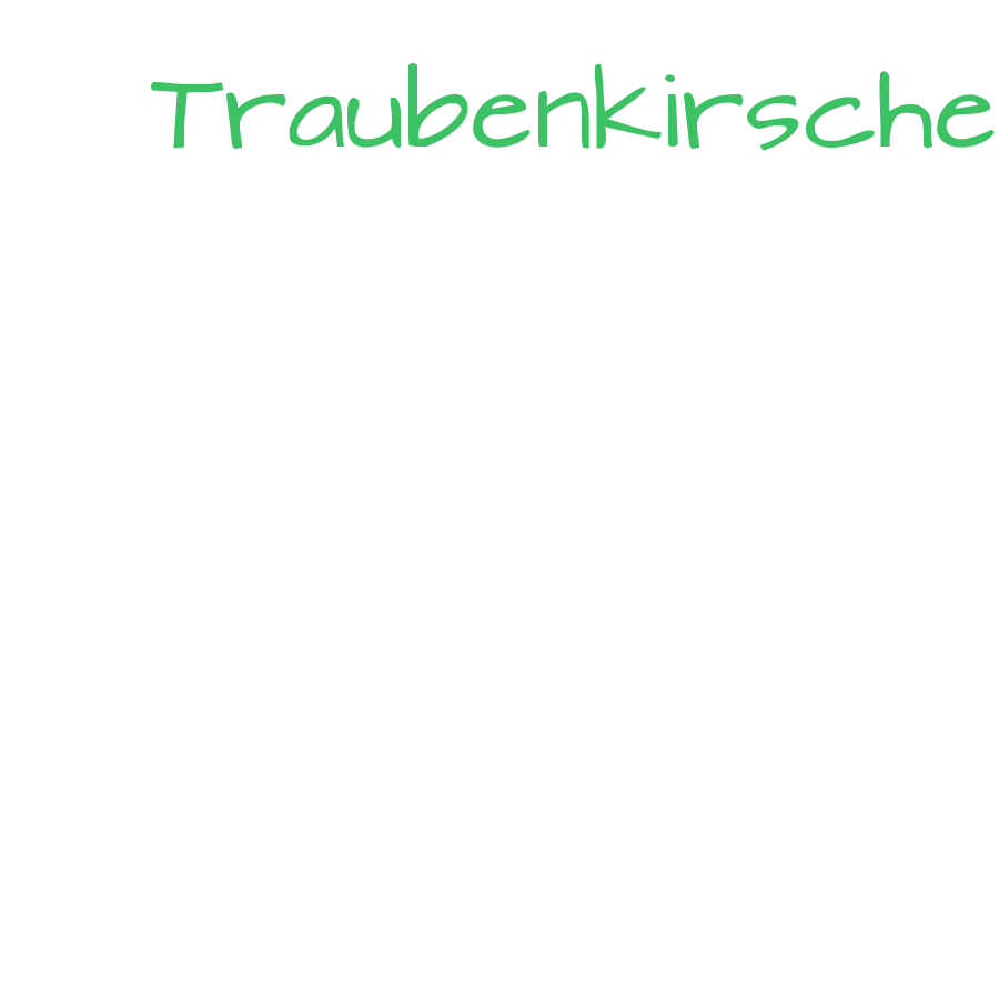 Schlagwortwolke
