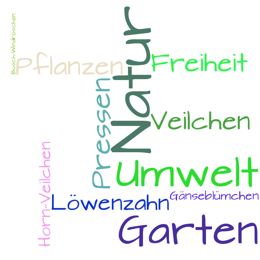 Schlagwortwolke