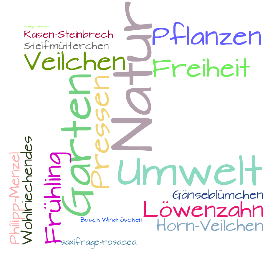 Schlagwortwolke